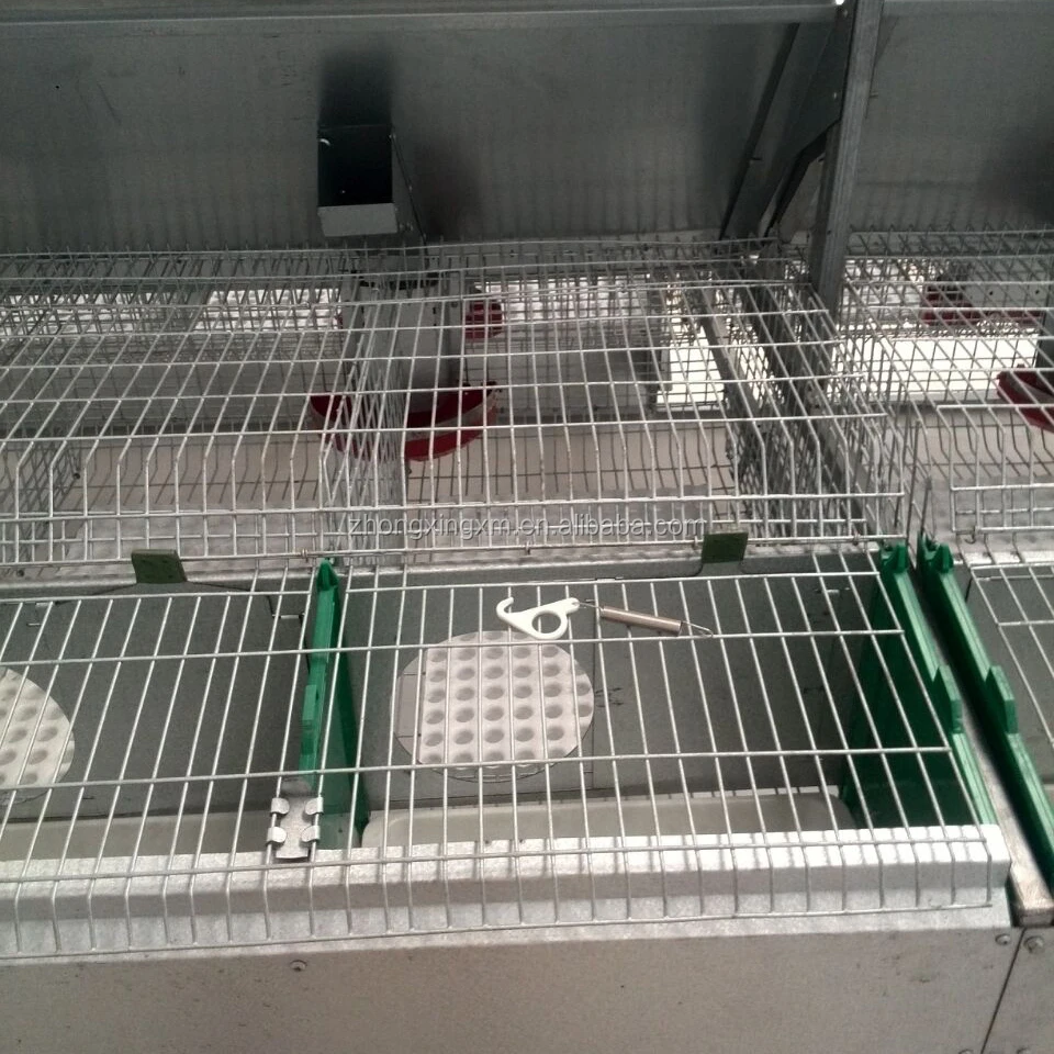 Wholesale automatic rabbit cages/commercial rabbit cages