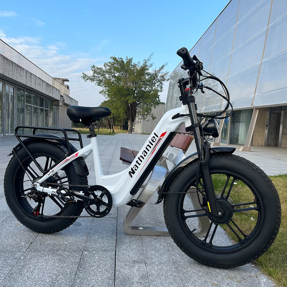 Nathaniel SYR08 2000W Dual Motor E-Bike, 20*4.0 Fat Tire, 20AH Detachable Battery, Speed 50+, Daily Commuting, Adult Electric Bi image 5