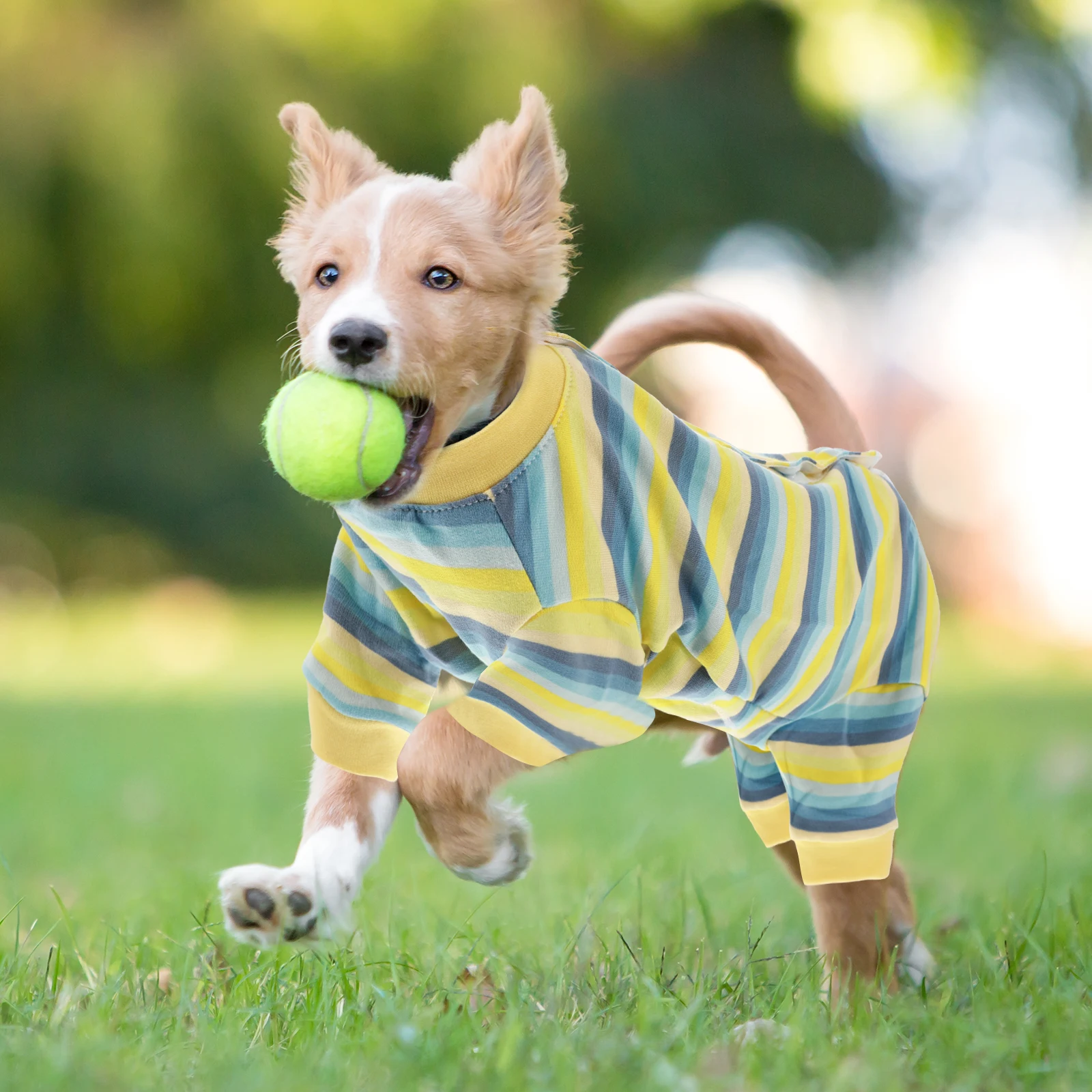 

Pet Neutering Suit Pure Cotton Dog Clothes Post Surgery Recovery Vest Wound Protector Anti Licking Clothing For Puppy Senior