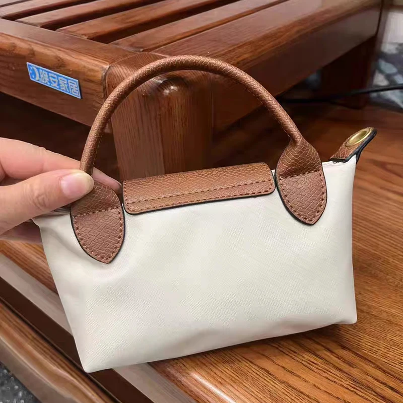 Women\'s Mini Handbag Spring Autumn Versatile Fashion Niche Designer Casual Bag Purses and Handbags Designer Bags Tote Bag