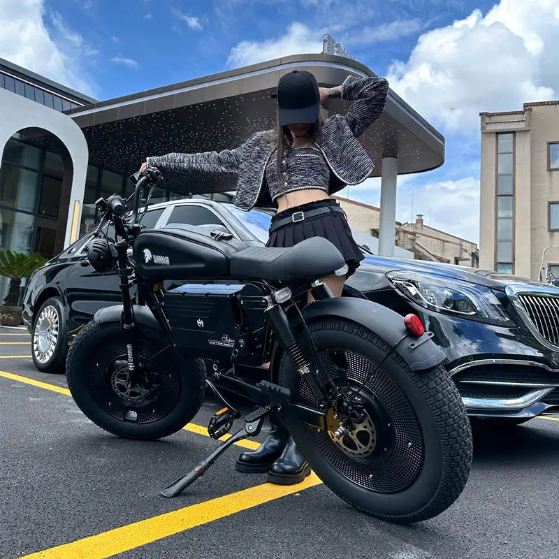 Adult Electric Bike Black Warrior 3000W Motor 60V45AH Battery 90KM/H Electric Bicycle 20*5 inch Tire Off-Road All-Terrain E-Bike image 8