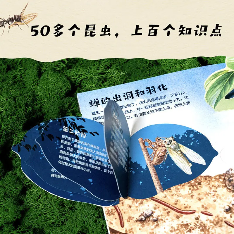 (Insects) 3D three-dimensional book 38 three-dimensional interactive mechanism natural enlightenment reading