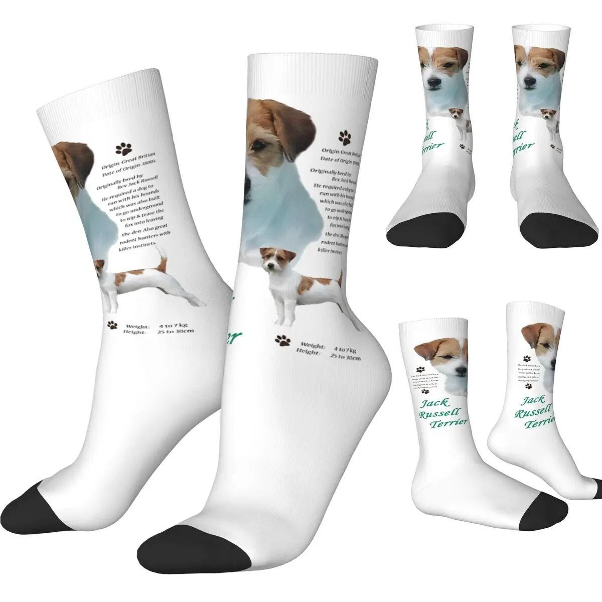 Jack Russell Terrier Dog Stockings Men Socks Medium Soft Leisure Socks Autumn Cycling Non Skid Graphic Socks Gift