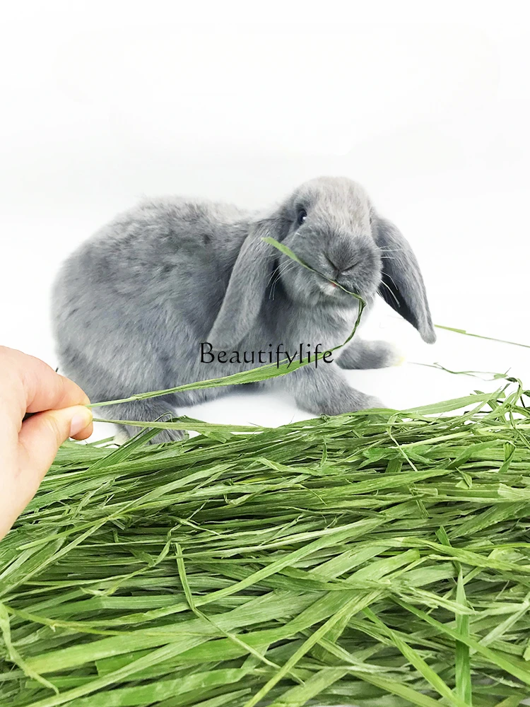 

New Drying Timothy Grass Rabbit Hay Edible Rabbit Food Feed Drying Grain Grass