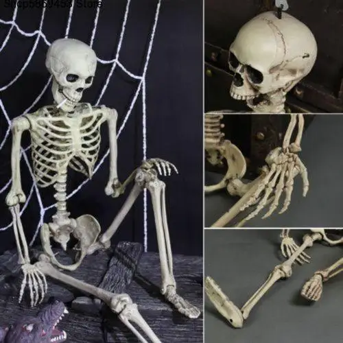 Halloween Prop Human.Skeleton Full Size Skull Hand Life Body Anatomy Model Decor