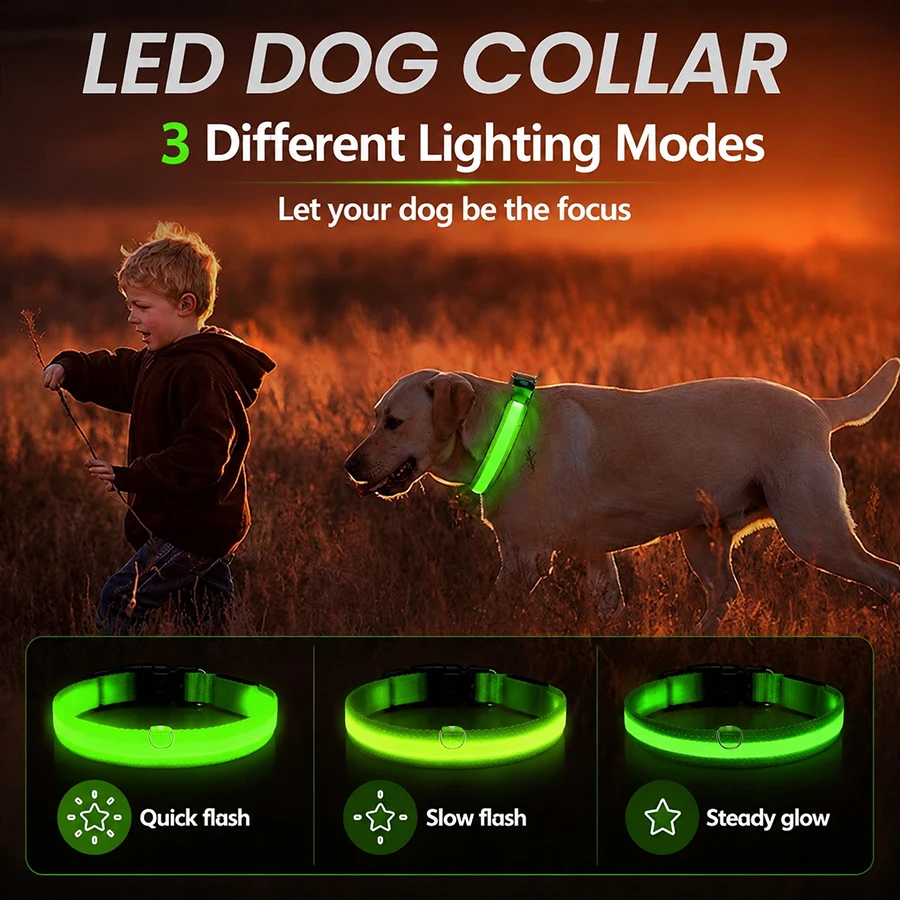 3가지 모드 애완견 발광 충전식 목줄 LED USB 고 - Tech Dog Accessories 리뷰 및 가격