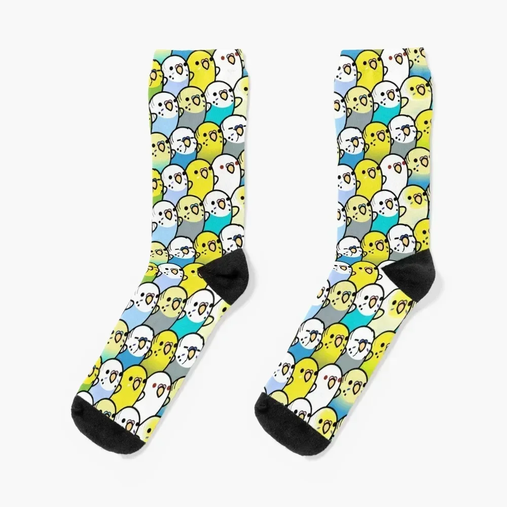 Bunches of Budgies Socks short sport Running basketball Man Socks Women's