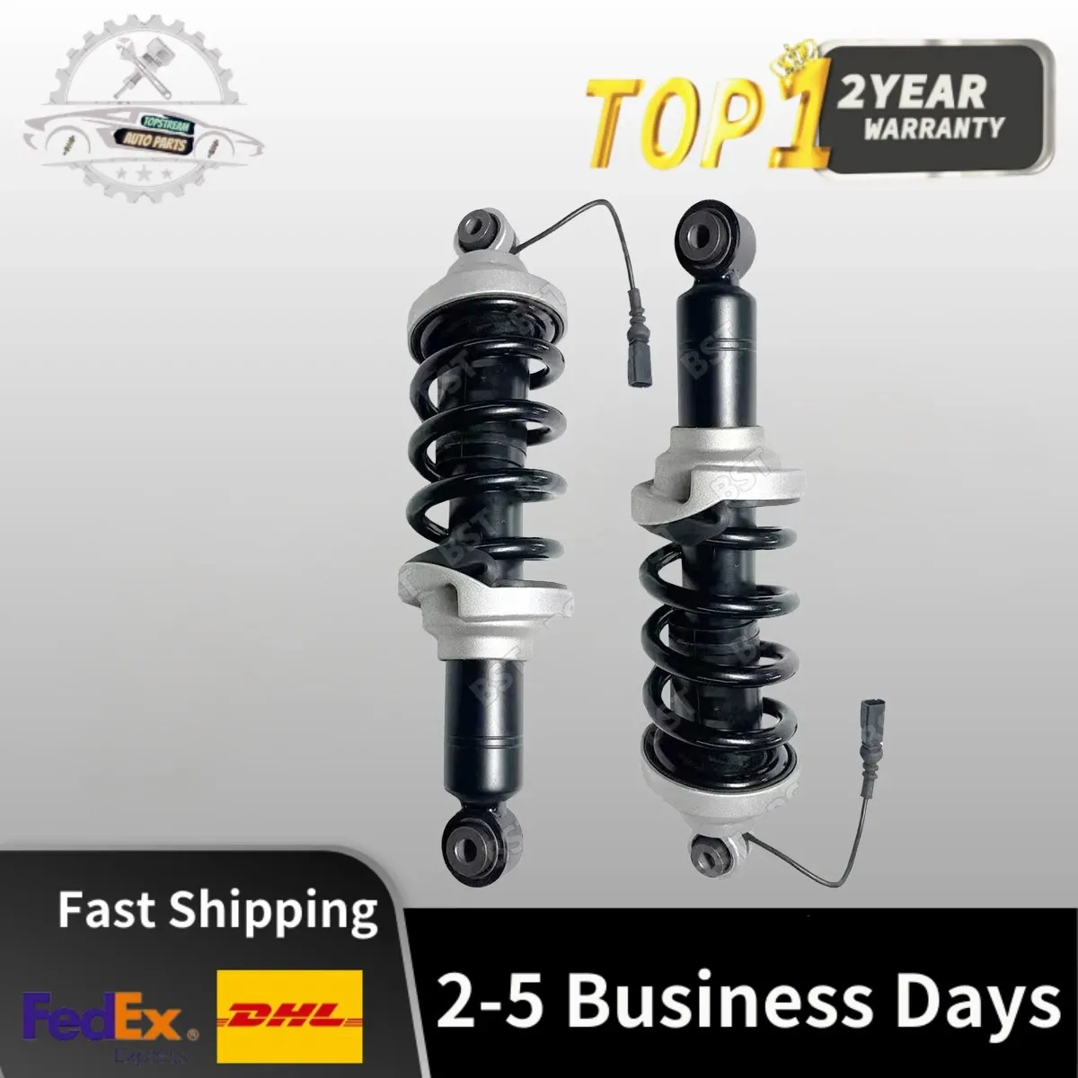 

Pair Rear Shock Struts Assys Magnetic Ride For Audi R8 Spyder 4S3 4S9 4S0512019