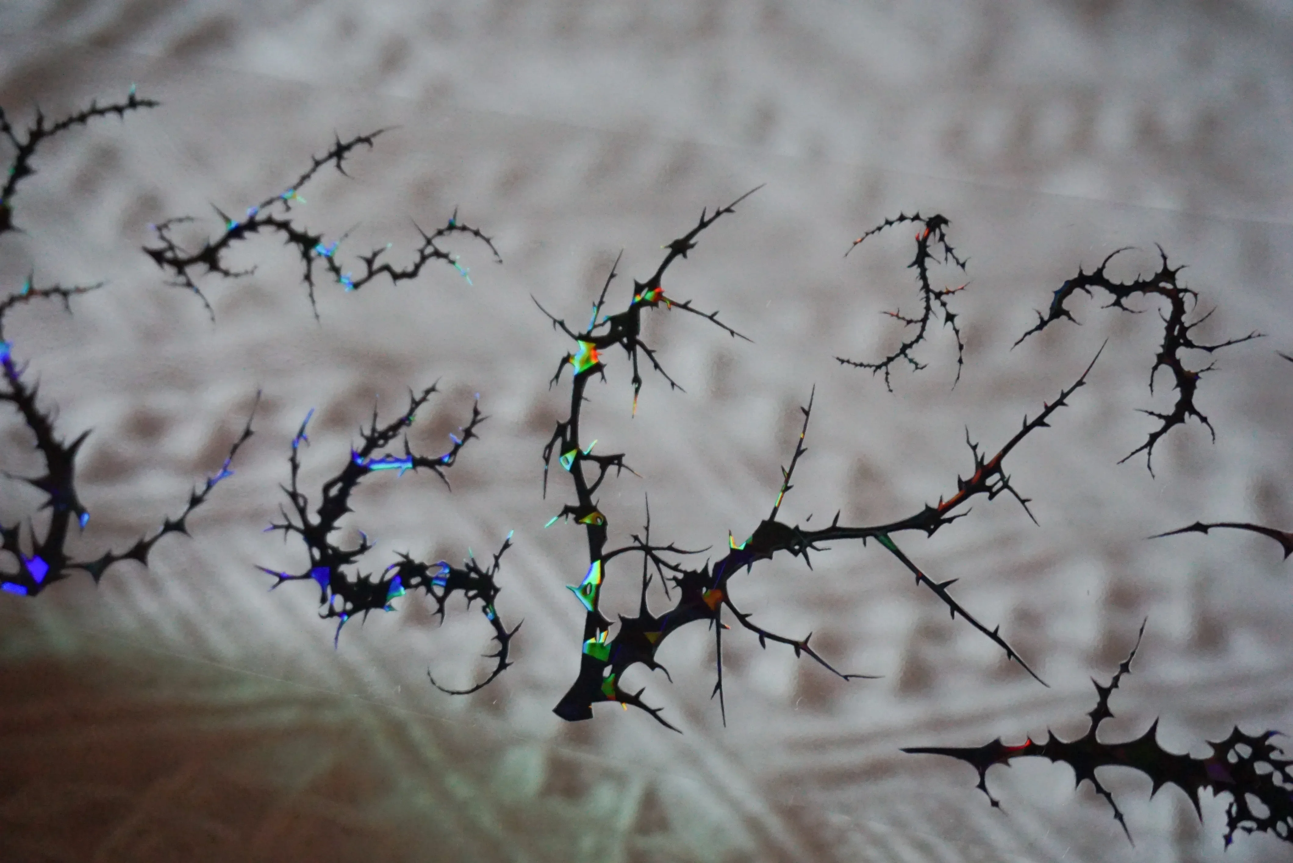 Branches, Black Roses, Vines, Dark Style Seashells Card Stickers PET Washi Tape