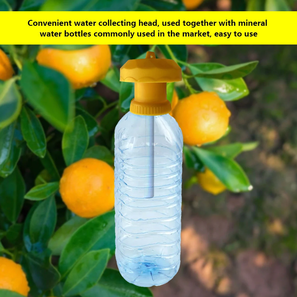 Drosophila Killer Fruit Fly Trap Antimosquito Vegetable Hanging Flying Bugs Attractant Bait Garden Control Tool