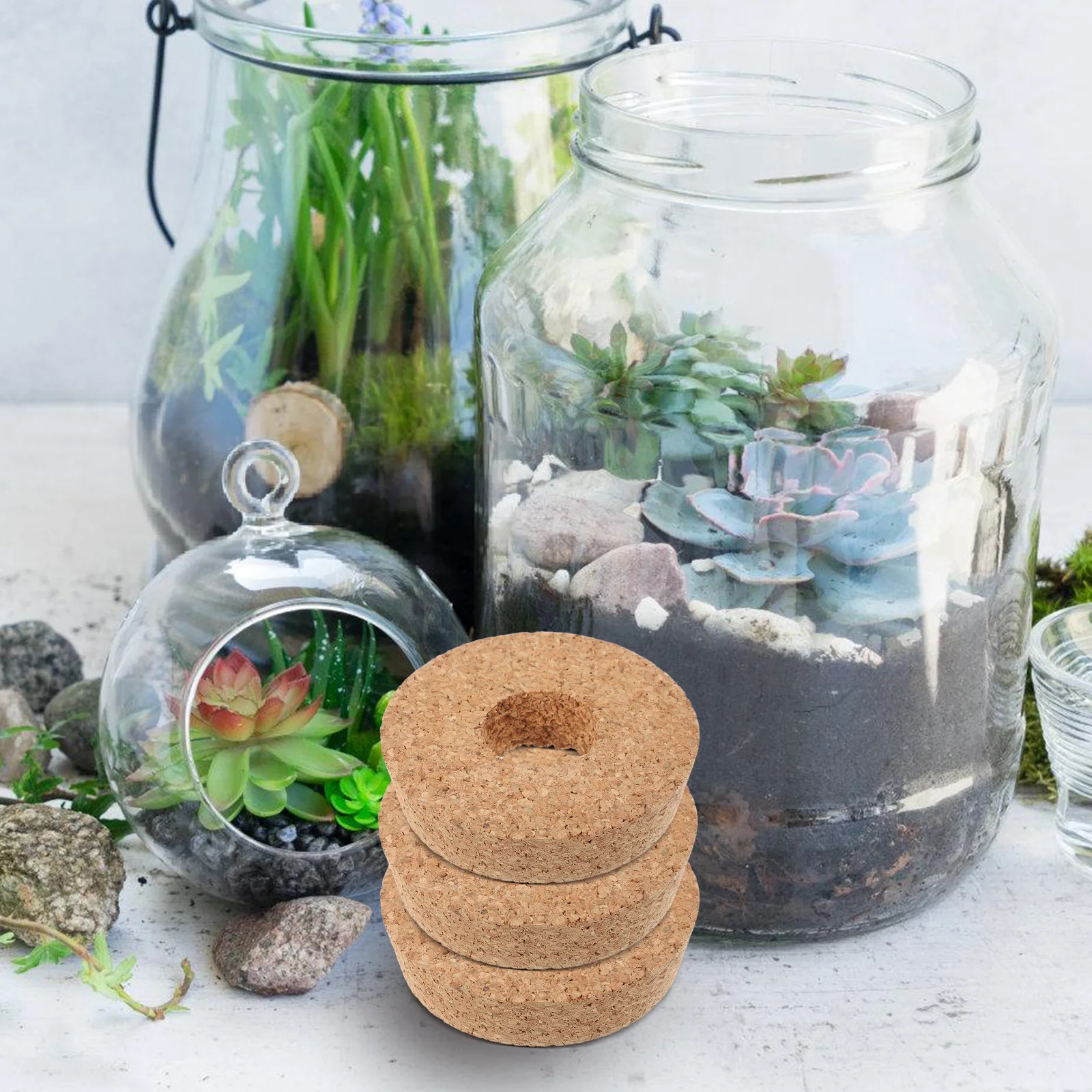 

6 pcs Glass Terrarium Vase With Cork Lid 80X20X73Mm Reusable For Hydroponics Micro Landscape Indoor Decor Plant Container Cork