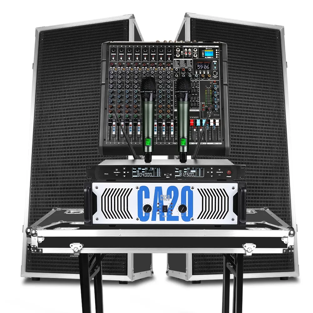 D925 Professional Dual 15 Inch Sound Equipment/Amplifiers/Speaker With Professional Audio For Stage Performance