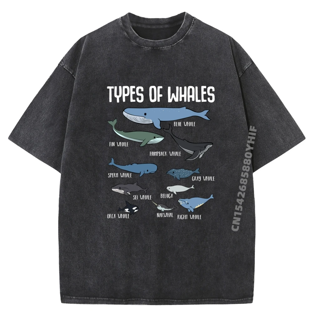 

Graphic Types Of Whales Sea Ocean T-shirts Men Classic Comfortable Printed T-shirts Men Washed Tee-Shirt
