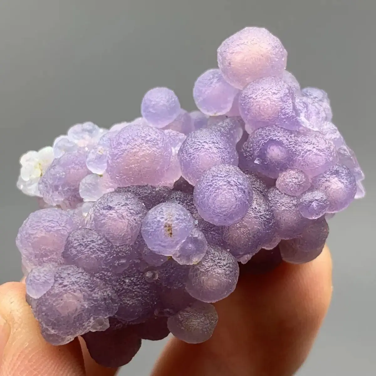 Inner Mongolia Alxa Raw Stone Grape Agate Stone Raw Stone Pearlescent Jade Beautiful Color Collection Display Aquarium Landscape