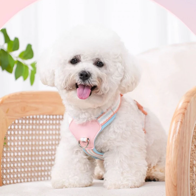 Adjustable Pet Chest Harness with Matching Leash, Comfort Walking Kit for Small Puppy Outdoor Activities