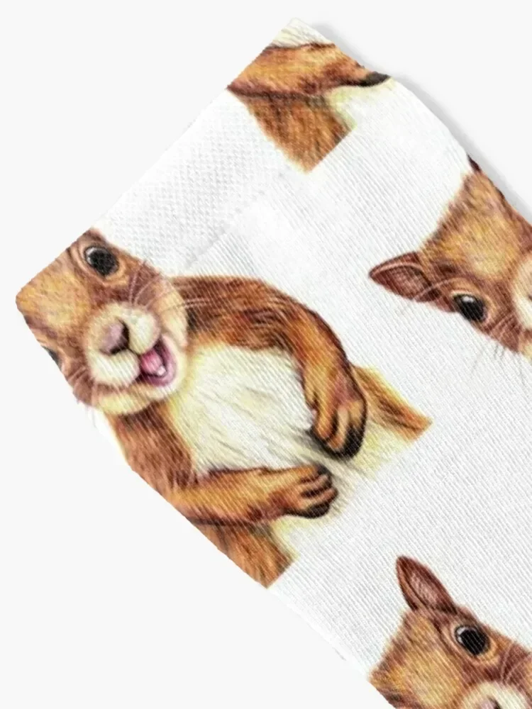 Seamus the squirrel says hello Socks moving stockings set heated Antiskid soccer Men's Socks Luxury Women's