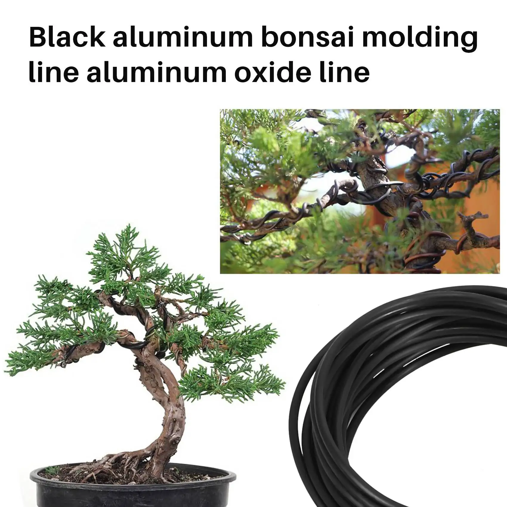 Geanodiseerd aluminium bonsai-trainingsdraad 5-formaat set-1,0 mm, 1,5 mm, 2,0 mm, 2,5 mm, 3,0 mm (147 voet totaal) - kies uw kleur (5 maten, zwart)