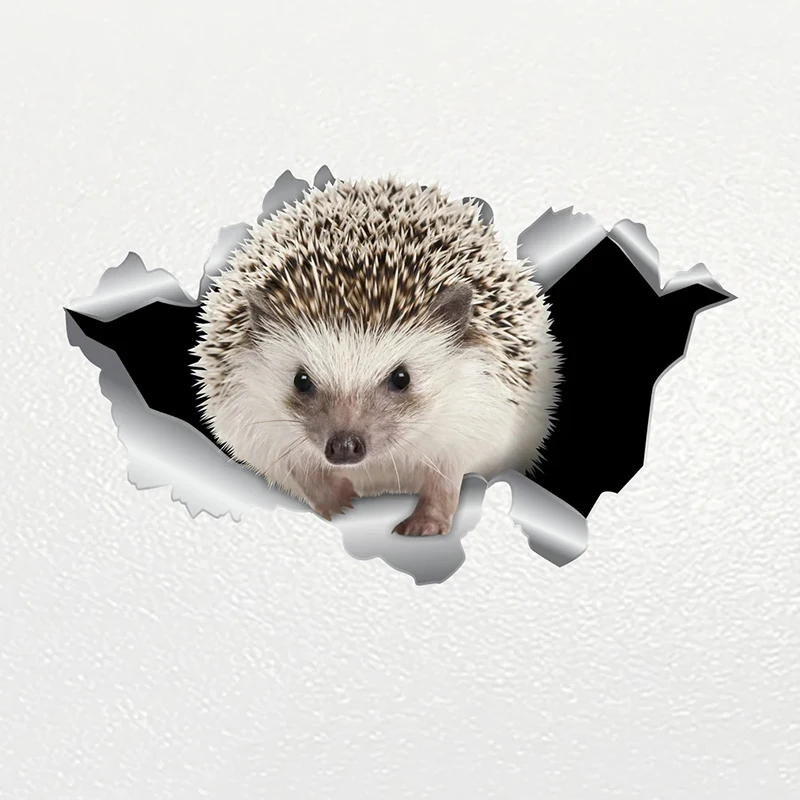 

V1088# Car Sticker Hedgehog Pet Animal Waterproof Vinyl Decal Car Accessories Decor Pegatinas Para Coche