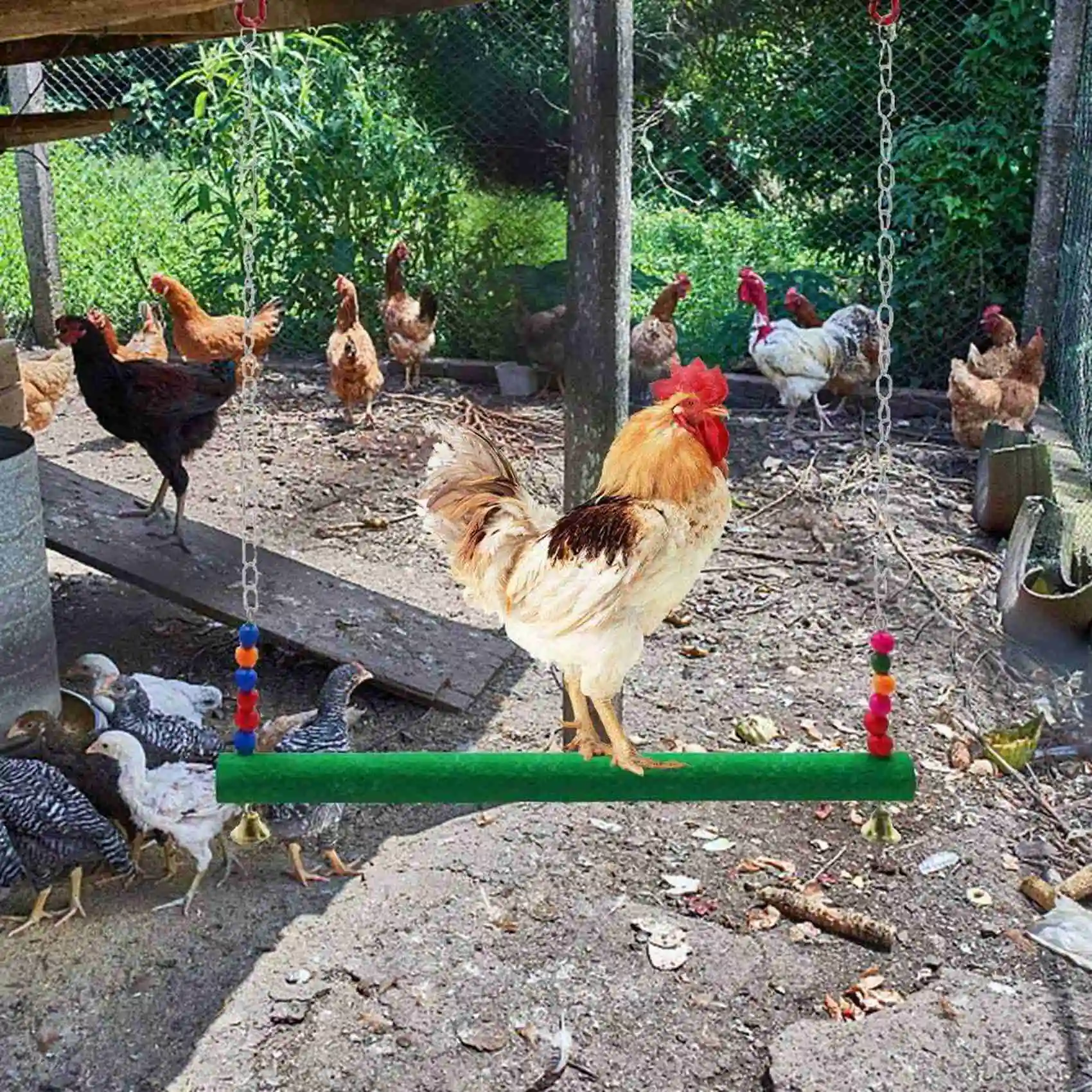 ABUN-2X Chicken Swing Chicken Chicken For Hens Bird Parrot Macaw Hens Swing Ladder For Hens Bird Parrot Trainning