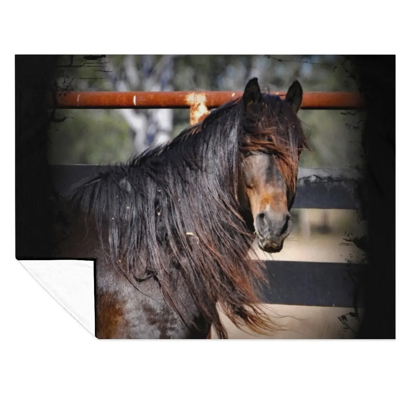 

Australian Brumby Stallion. BRUMBY. Throw Blanket christmas decoration Hairys Cute Winter beds Blankets