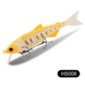 HS008