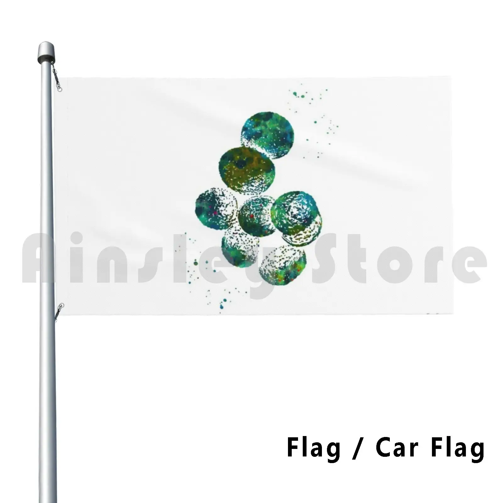 Flag Car Flag Staphylococcus Aureus Bacteria 2494 Bacteria Staphylococcus Aureus Anatomy Biology