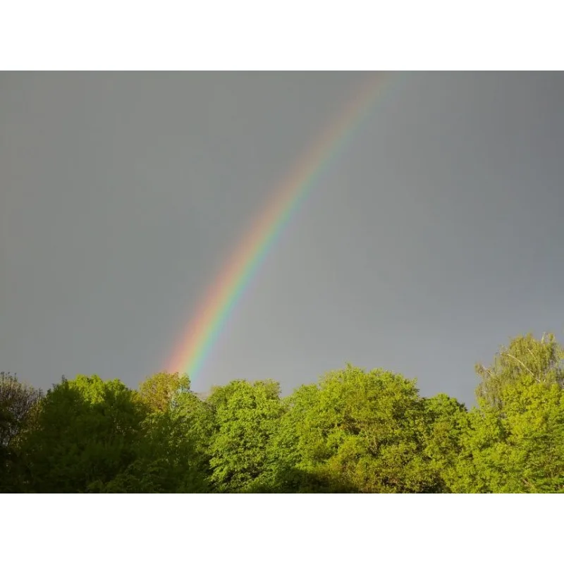 Cadre FPV haute durabilité LX350 PRO, quadrirotor en Fiber de carbone à 4 axes de 350mm avec train d'atterrissage pour Drones RC DIY