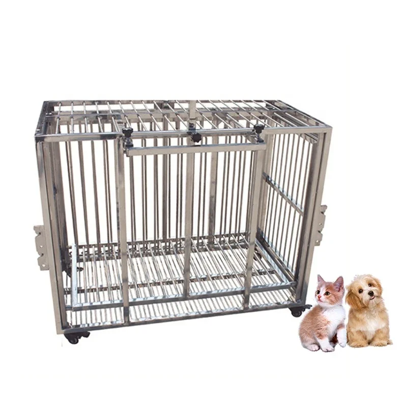 EUR VET Hot Selling Veterinary Equipment Stainless Steel Carriers For Dogs And Veterinary Clinical Animal Injection Cage