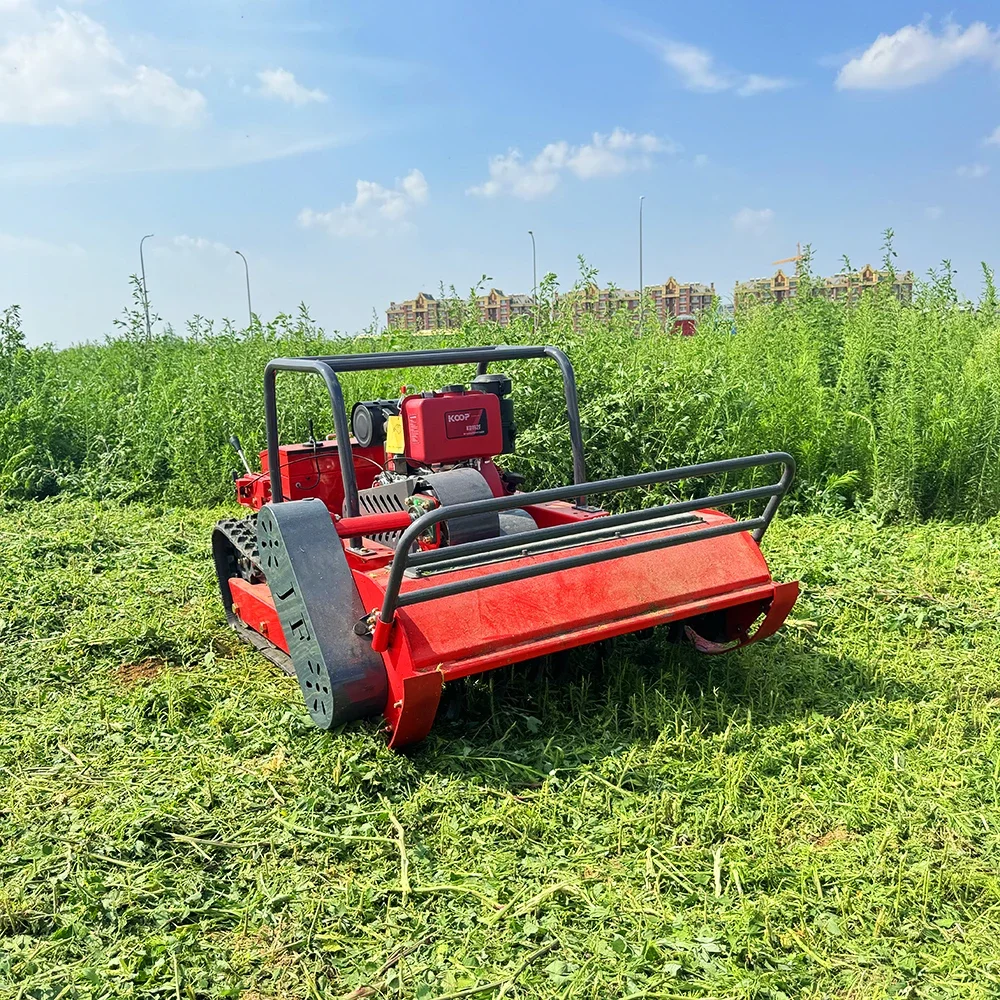 Chinese Mini Lawn Mower Mini Remote Control Lawn Mower