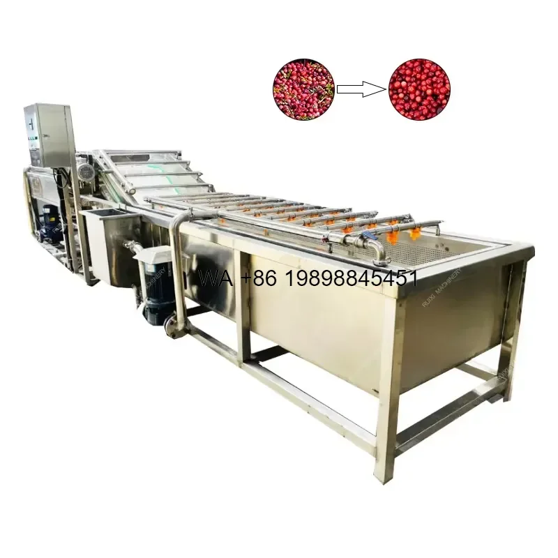 Wmwmnu New Automatic Food Grade Vegetable Fruit Bubble Washing With Pump Includes Cleaning Drying Line