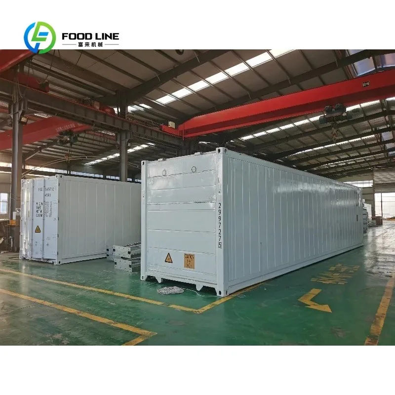 Customized 40ft Smart Hydroponic Container Greenhouse Auto Temperature Control Vertical NFT Grow System for Microgreen Farming