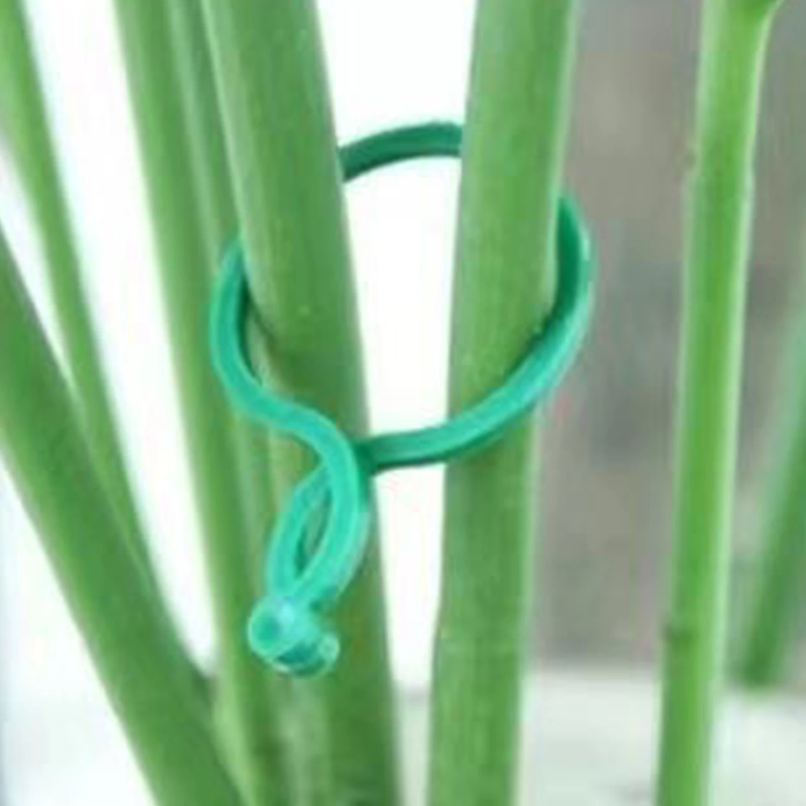 50PCS Plant Support Clips Easy to Operate Green Plastic Pla Locks for Helping Pla to Grow Upright