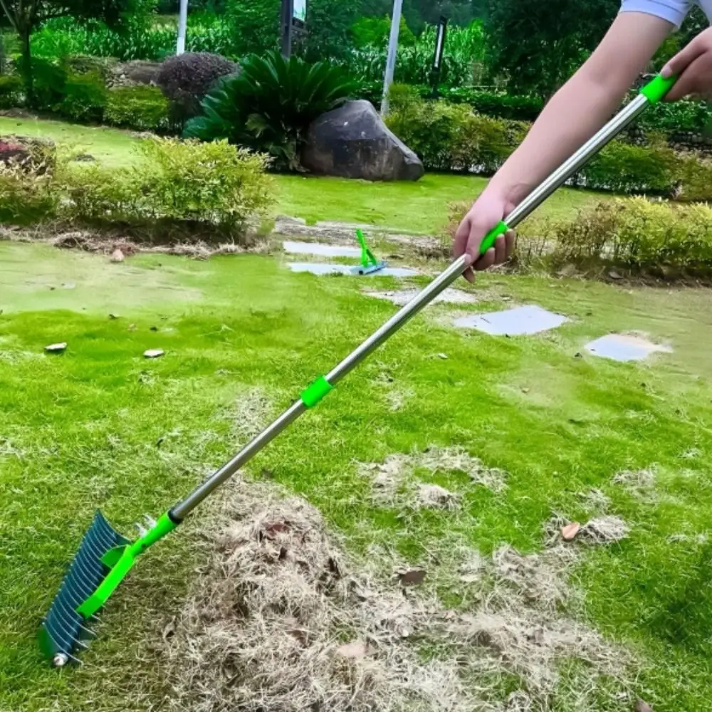 

Stainless Steel Detachable Lawn Thatch Rake Durable Versatile Garden Leaf Rake Removable Combs Turf Couch Grass Rake Garden Use