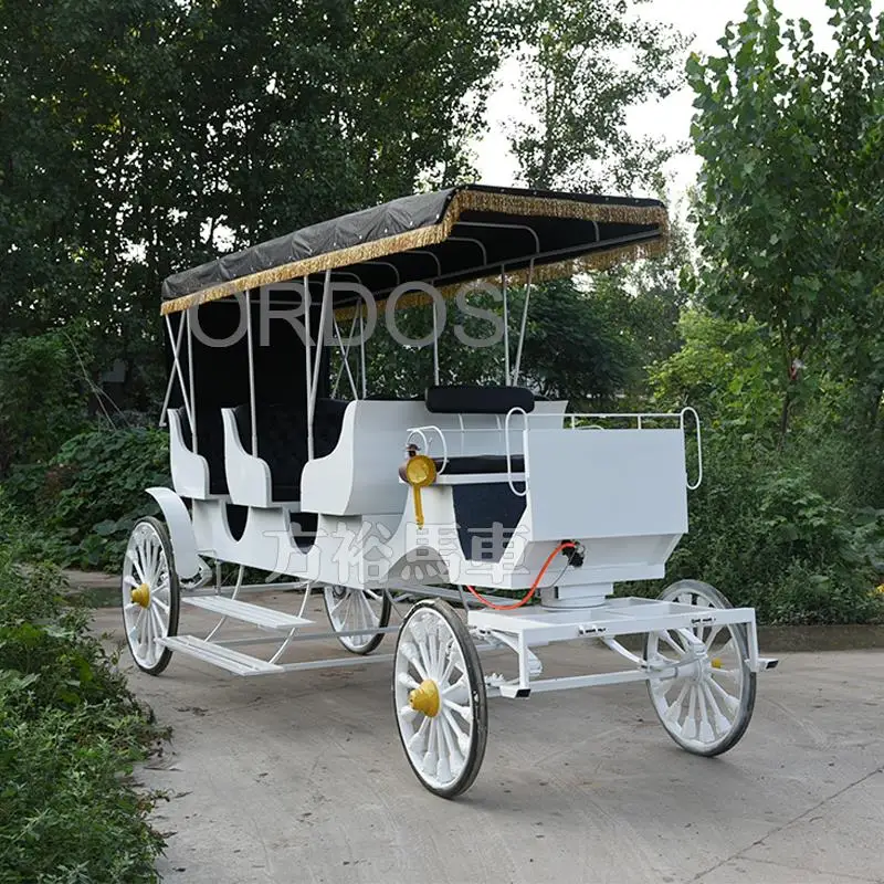 Farm, Freight Wagons & Buckboards horse carriage