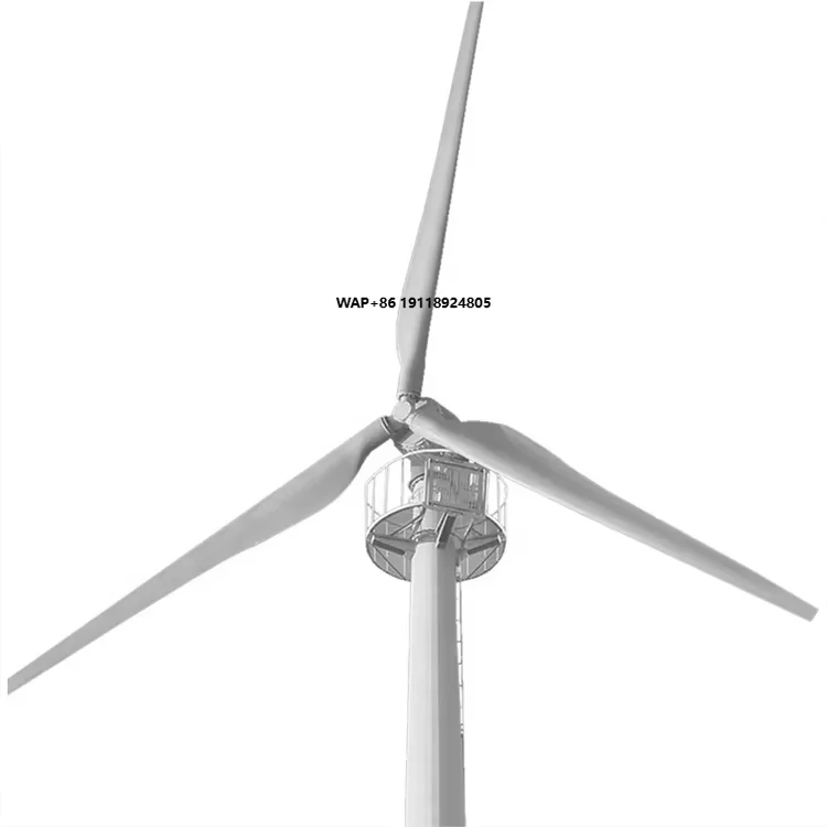 

High Quality 2000W Permanent Magnet Wind Turbine Generator Three Phase AC Output 48V/96V/120V Wind Solar Hybrid Free