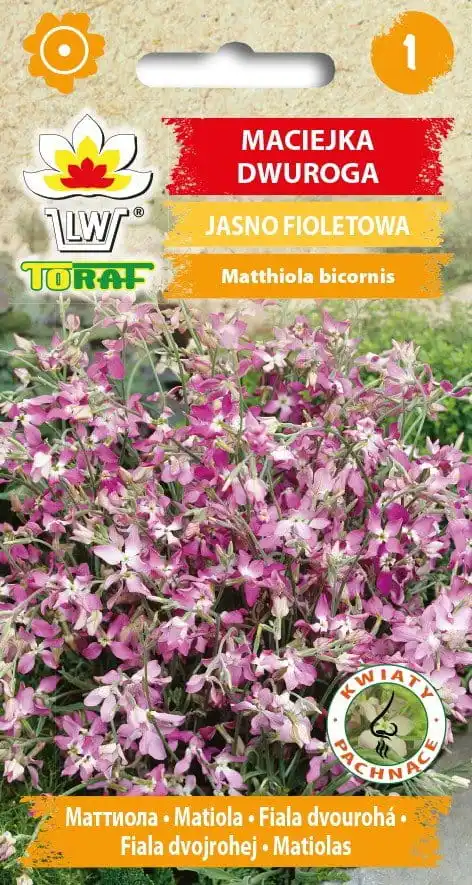 Maciejka Blumensamen für Haus- und Gartenblumen 3G TORAF
