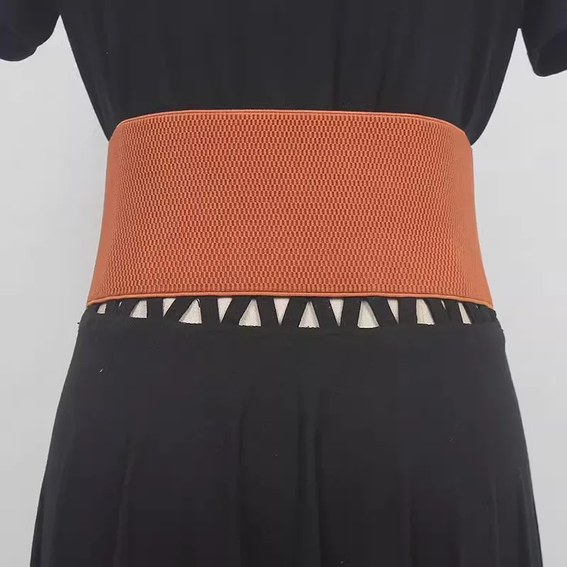 المرأة المدرج موضة بولي Leather الجلود مطاطا فستان Cummerbunds الكورسيهات حزام أحزمة الديكور حزام عريض R474