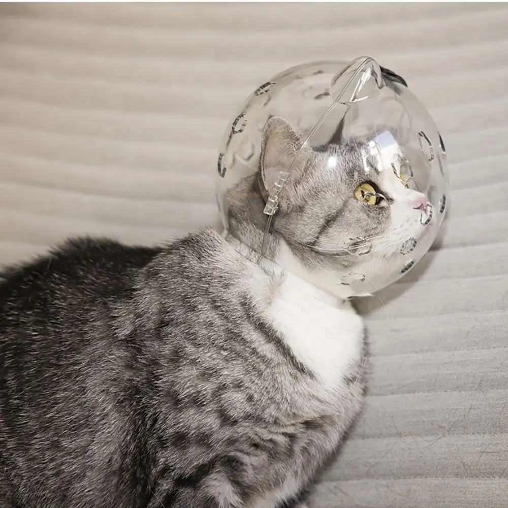 Thumbnail 2 - #32 Pet Muzzles Comparison Guide