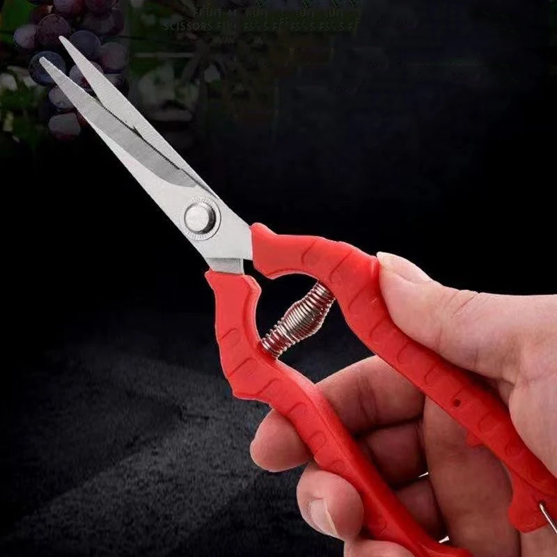 1 Piece Pruning Shears - Stainless Steel Multifunctional Gardening Picking Scissors, Suitable for Orchards, Bonsai, and Weeds