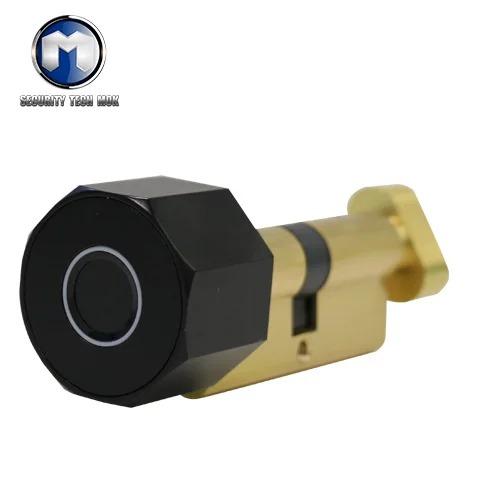 Euro Standard Luxury Smart Door Lock Cylinder Stainless Steel Tuya Smart Security With WIFI & ZigBee For Security