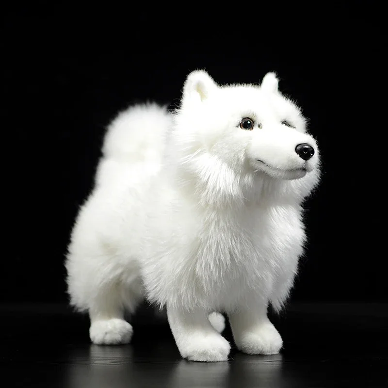 5 أنواع محاكاة الكلب دمية لطيف Samoyed دمية الحياة الحقيقية الحيوان الأبيض الكلب محشوة ألعاب من نسيج مخملي نموذج للأطفال أطفال هدية الأصلي