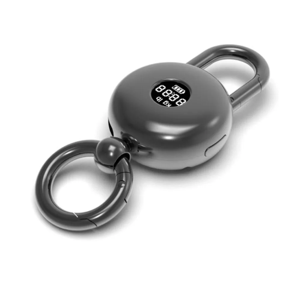 1PCS Multi-functional Electronic Scale Keychain Portable Hanging Scale Mini LCD Digital Scale Keychain Hanging Electronic Scale