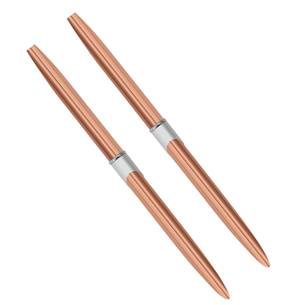 

2Pcs Nail Art Painting Brush Kit Metal Handle Manicure Detailing Brushes Nail Striping Pen Fine Line Design Tools for Beginners