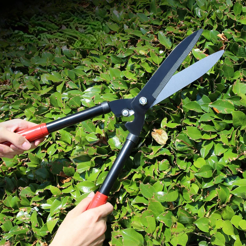 

Garden Pruning Shears Stainless Steel Pruner Fruit Picking Household Potted Weed Pruning Scissors Straight Elbow Pruning Tools