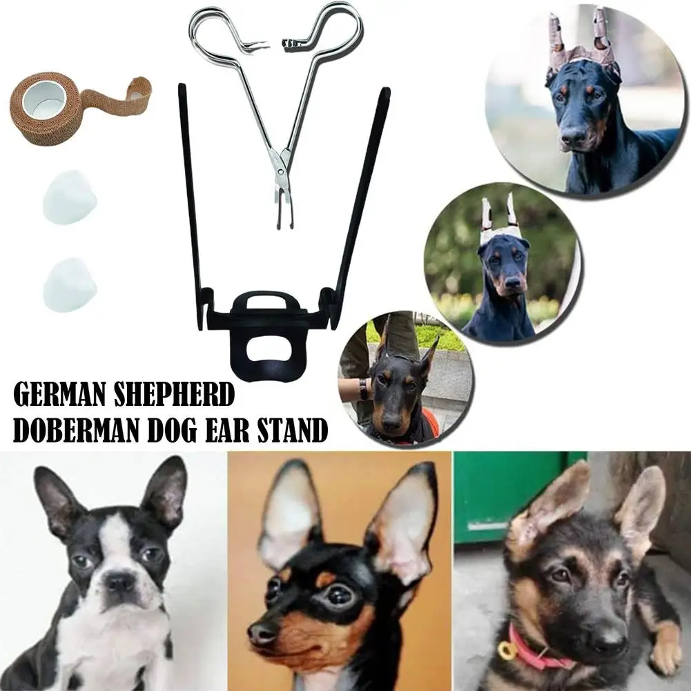 Ferramentas de cuidado da orelha para Doberman Assist, Dog Supplies, Puppy Ear Stand Up Sticker, suporte fixo, orelha ereta também, I5B6