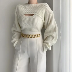 Early Autumn Korean Style Slim Fit Knitted Sweater Vest Casual Outerwear Short Sweater Cover Two-piece Set for Women