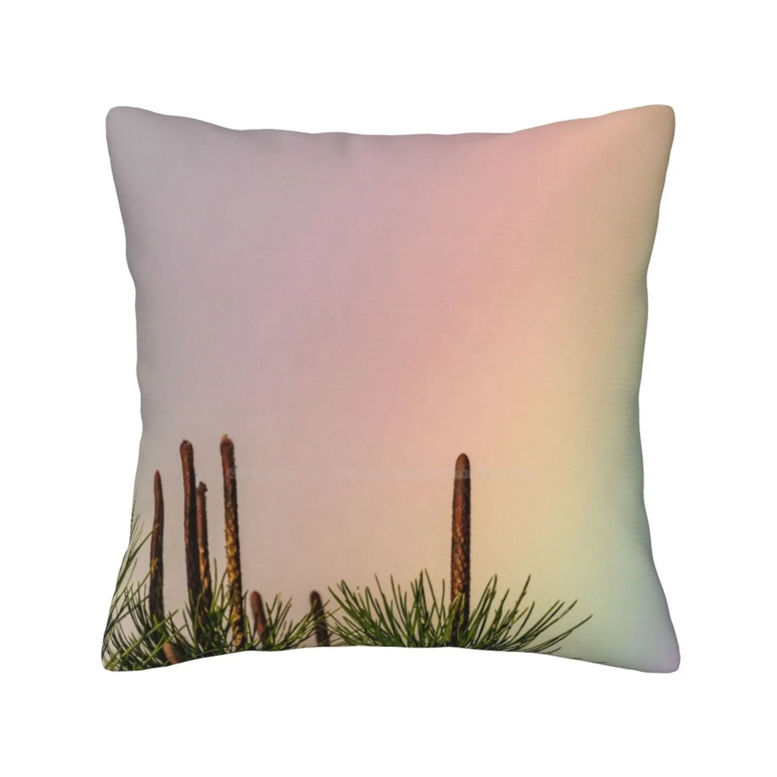 Spectators Fashion Sofa Throw Pillow Cover Pillowcase Grey Growing Needle Overcast Pine Rainbow Sky Tips Top Tree