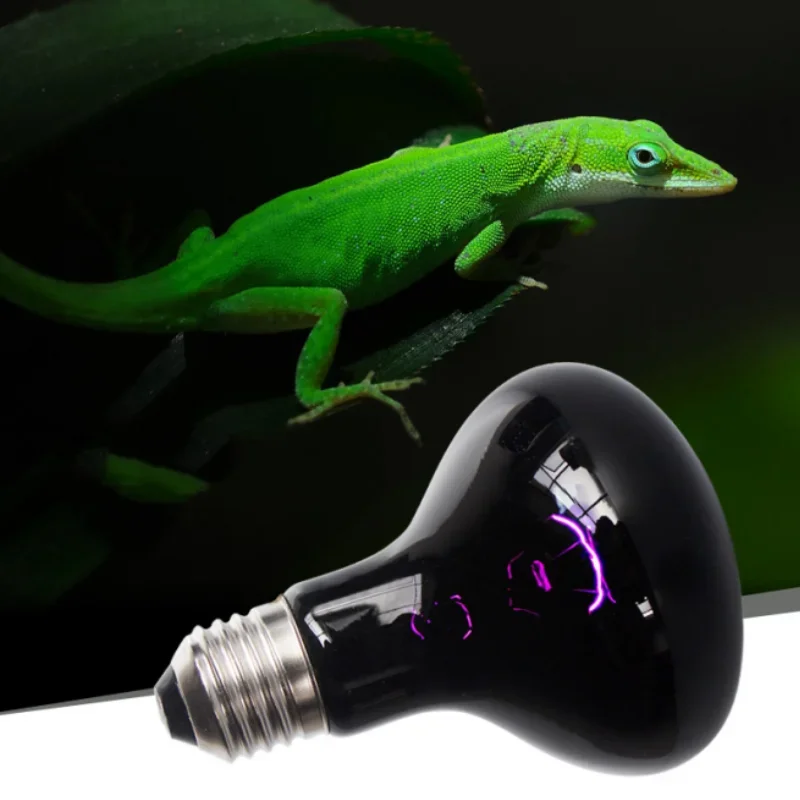 Thumbnail 2 - #25 Best Reptile Heat Lamps to Buy In 2026