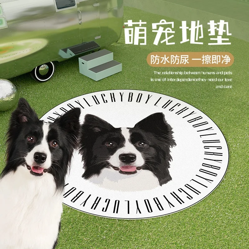 

DT5Pet mats are waterproof, urine resistant, anti slip, soundproof, scratch resistant, and wear-resistant
