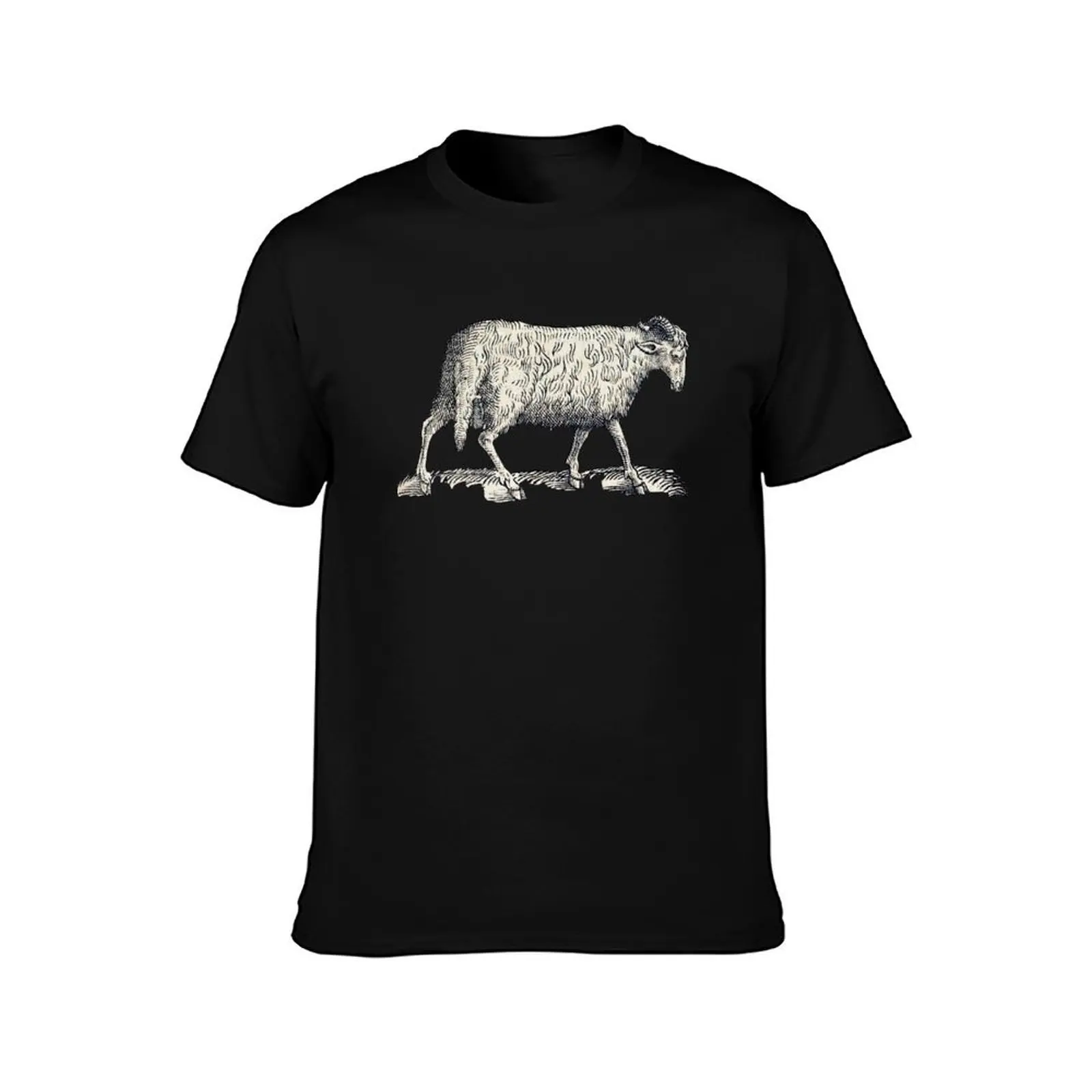 woodcuts bestiary - arabian sheep T-Shirt Summer Holiday T-Shirt